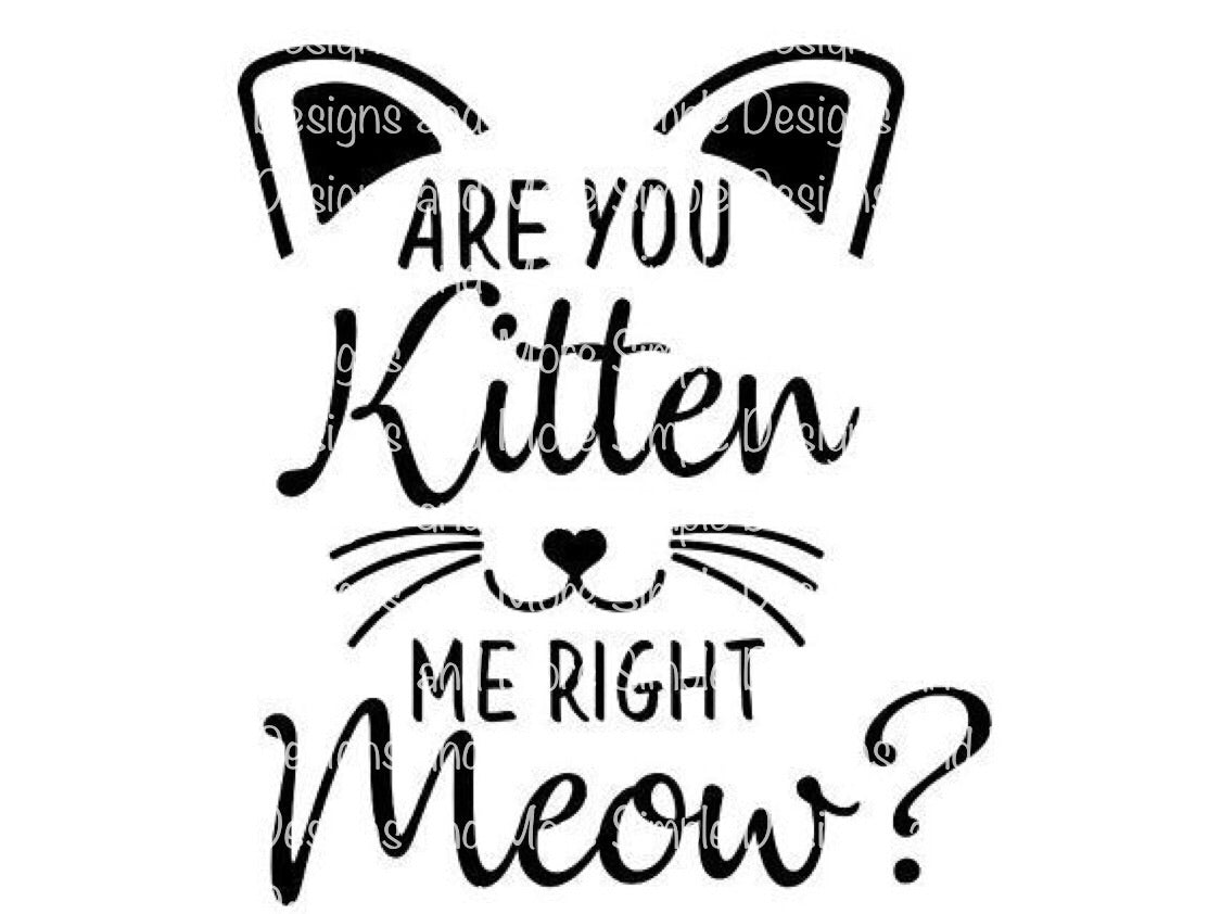 Are You Kitten Me Right Meow Sublimation Heat Transfer Sheets