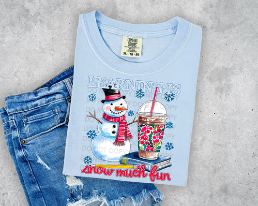 Learning is Snow Much Fun Comfort Color T-shirt, Bella Canvas Tees, Crew Sweatshirt