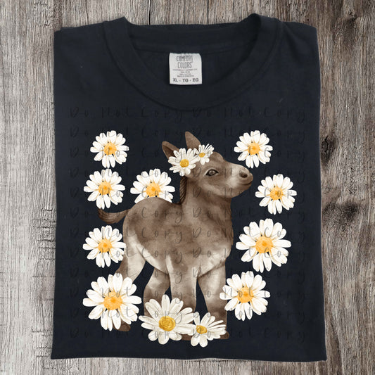 Daisy Donkey Heat Transfer Sublimation, Sublimation, DTF Direct to Film
