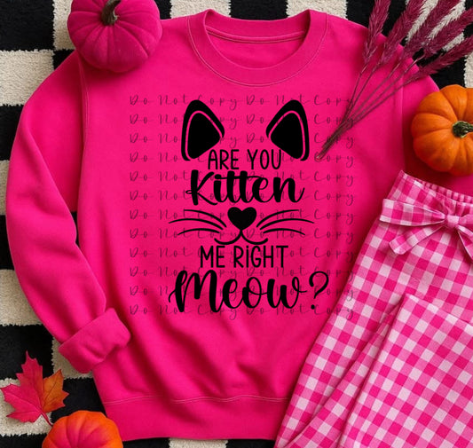 Are You Kitten Me Right Meow Heat Transfer DTF, Sublimation, DTF Direct to Film