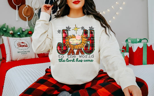Joy to the World the Lord Has Come (Red Plaid) Comfort Color T-shirt, Bella Canvas Tees, Crew Sweatshirt