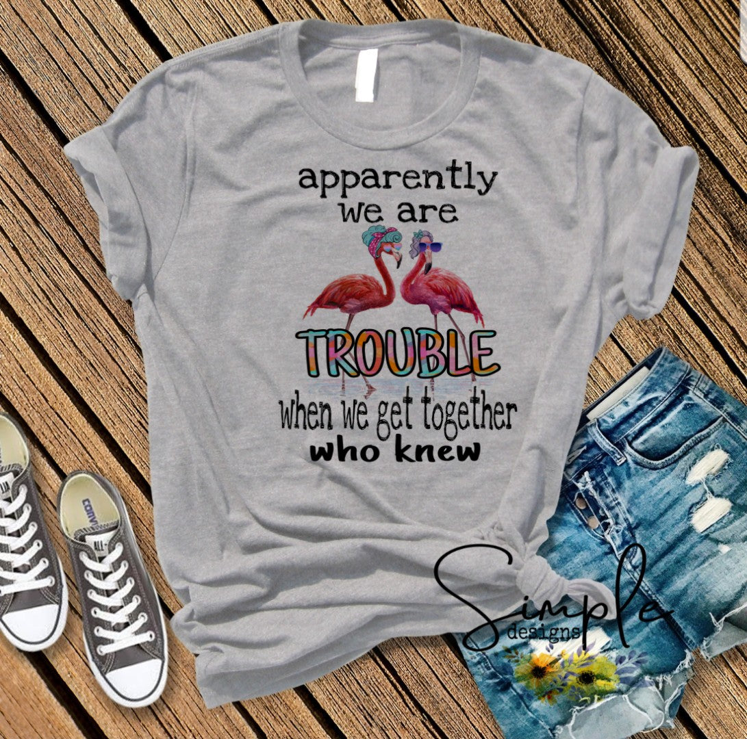 Flamingos Apparently We are Trouble Sublimation Heat Transfer Sheet